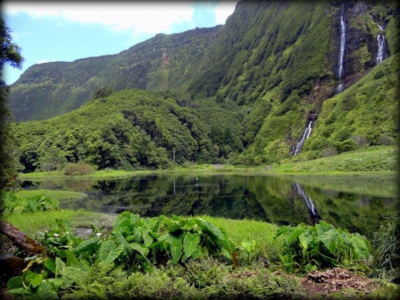 Poço da Ribeira do Ferreiro