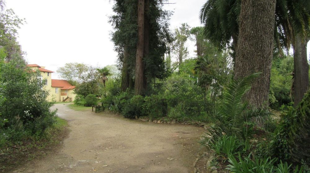 Parque Municipal de Alta Vila