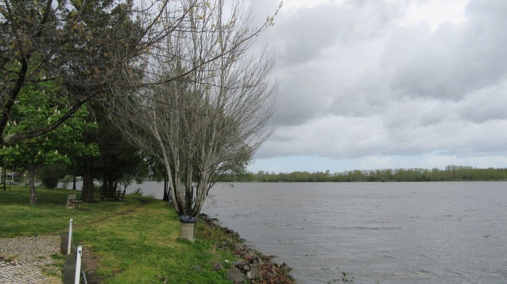 Pateira de Fermentelos