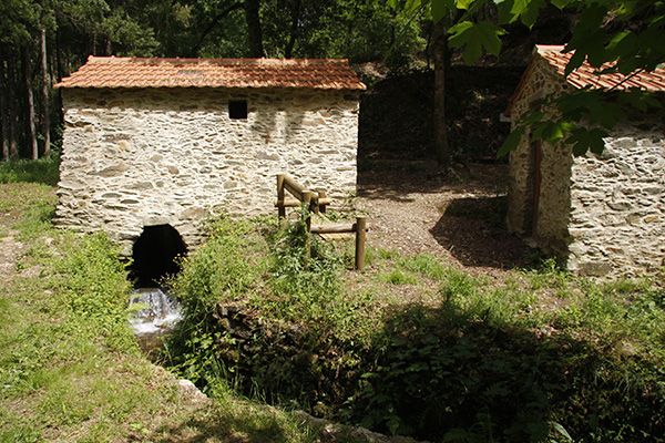 Moinhos da Quinta da Ribeira