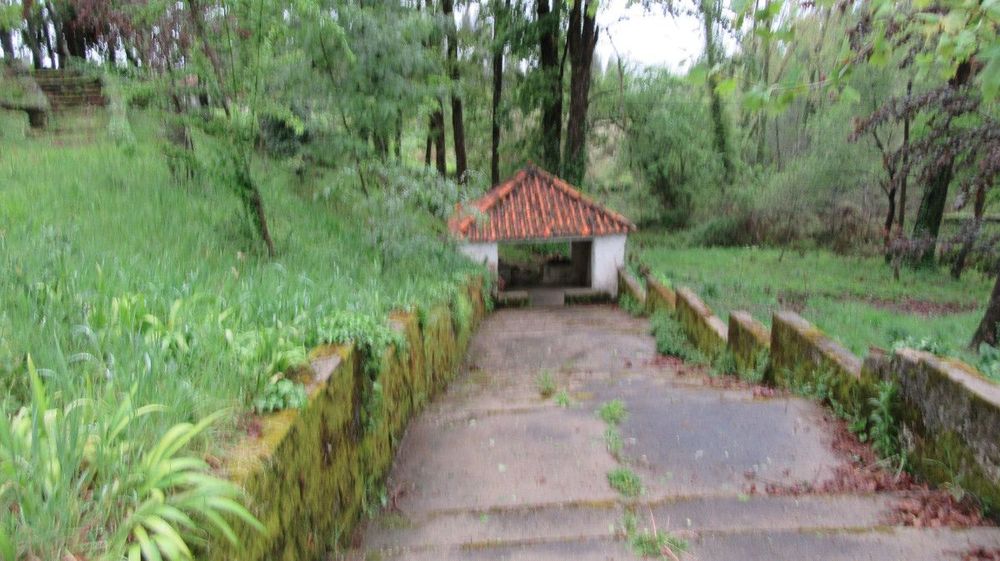 Fonte de Neves Pinheiro - Acesso