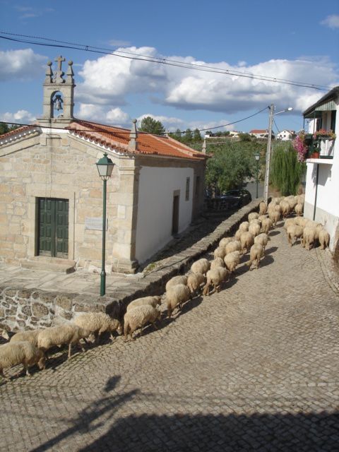 Igreja de Santa Catarina