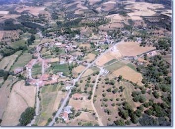Tuizelo
