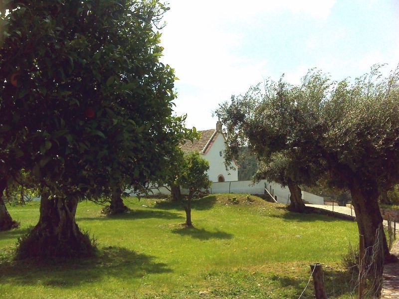 Capela da Senhora da Alagada e as oliveiras