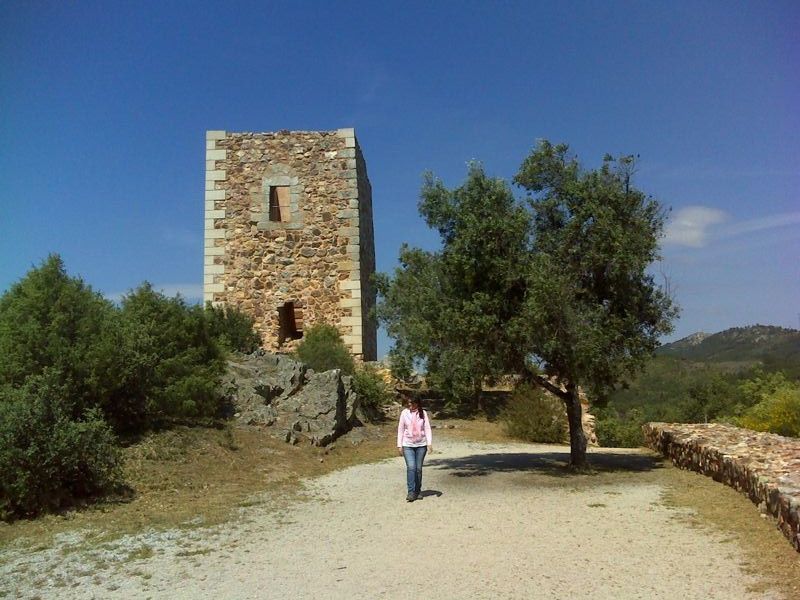 Castelo do rei Wamba