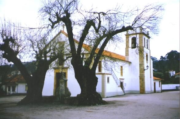 Igreja de S. Martinho da Cortiça