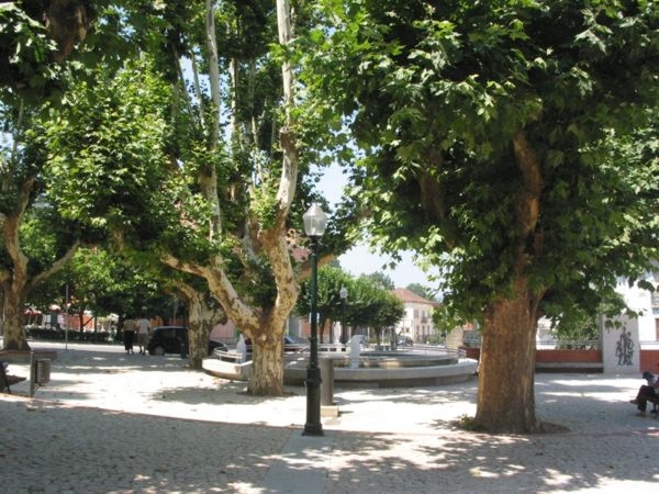 Jardim no centro da vila