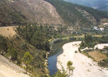 Rio Zêzere