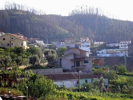 Vista de Carvalhosas