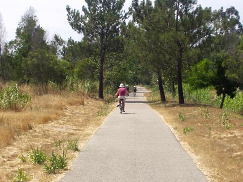 Lagoa de Mira - Passear de bicicleta