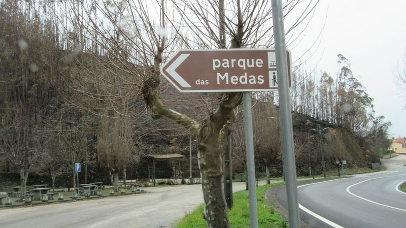 Parque Municipal das Medas