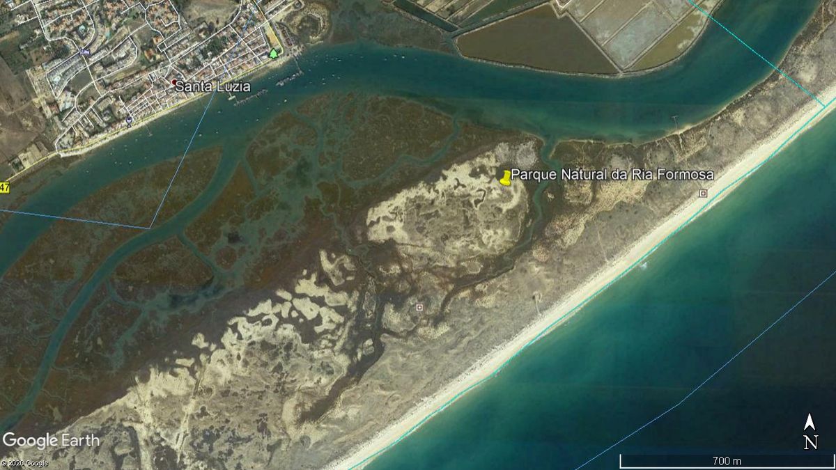 Parque Natural da Ria Formosa