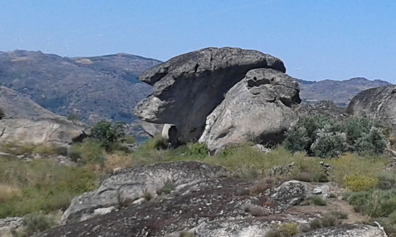 Cabeça da Velha