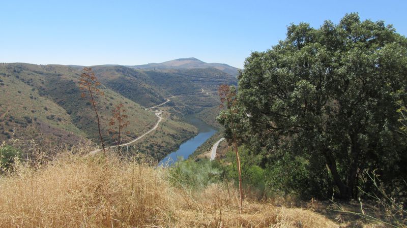 Paisagem vista do Museu do Côa