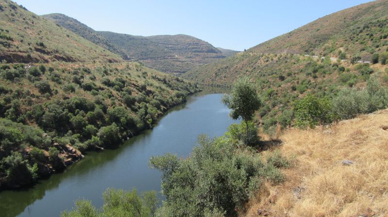 Ponte sobre o rio Côa e paisagem