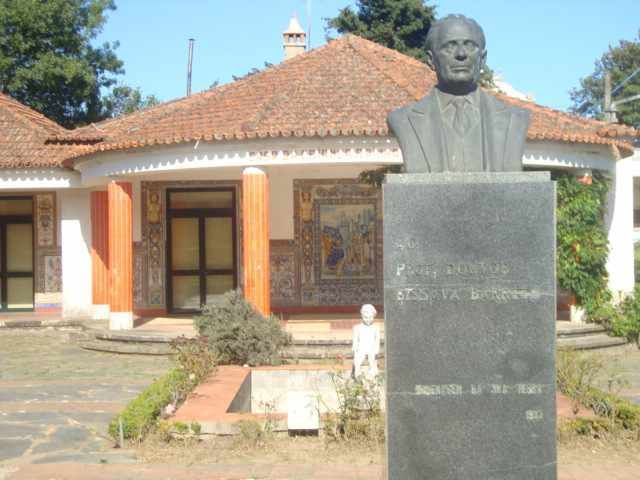 Jardim da Castanheira