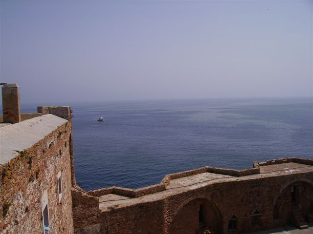 Berlenga Berlenga