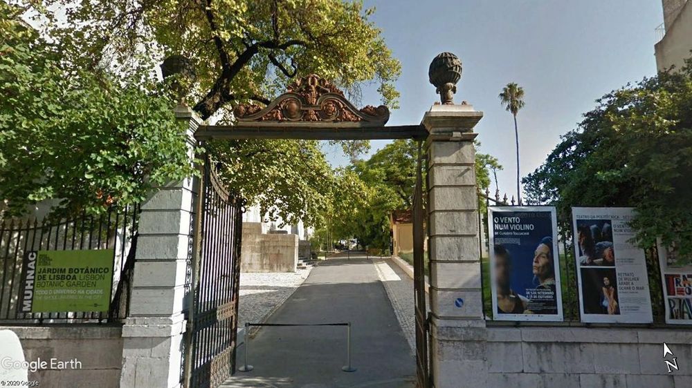Jardim Botânico da Universidade de Lisboa