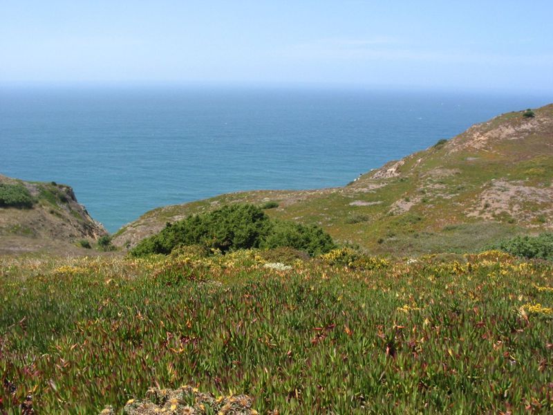 Paisagem do Cabo da Roca