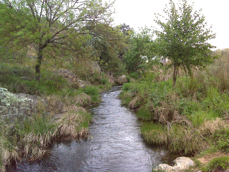 Ribeira de Arronches