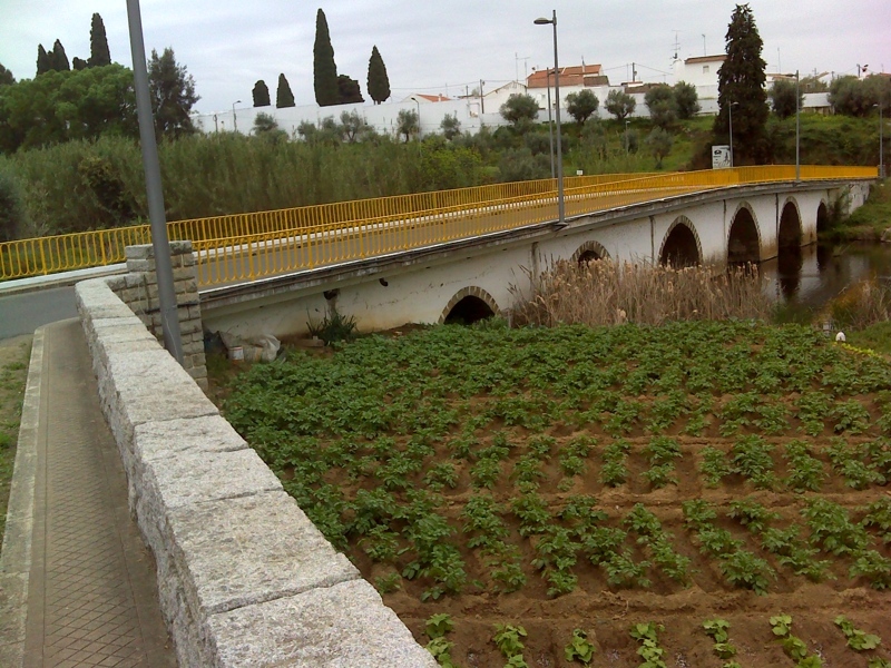 Ponte do Crato