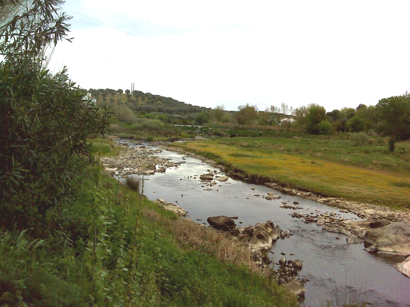 Rio Caia Rio Caia