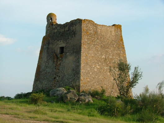 Baldio de Arronches Baldio de Arronches