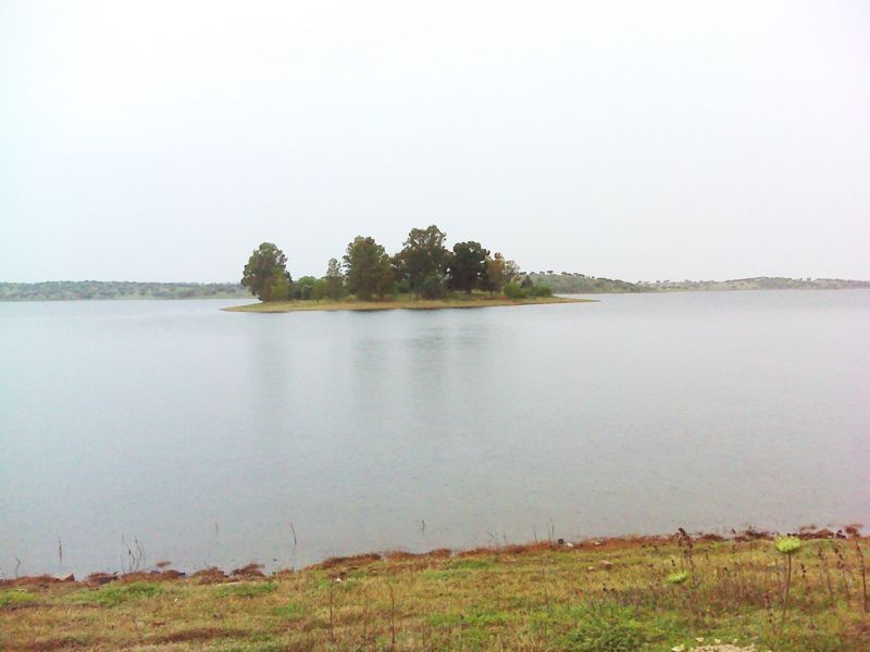 Barragem do rio Caia - ilha