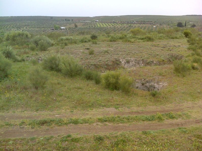 Santa Vitória - paisagem