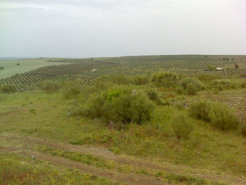 Santa Vitória - paisagem