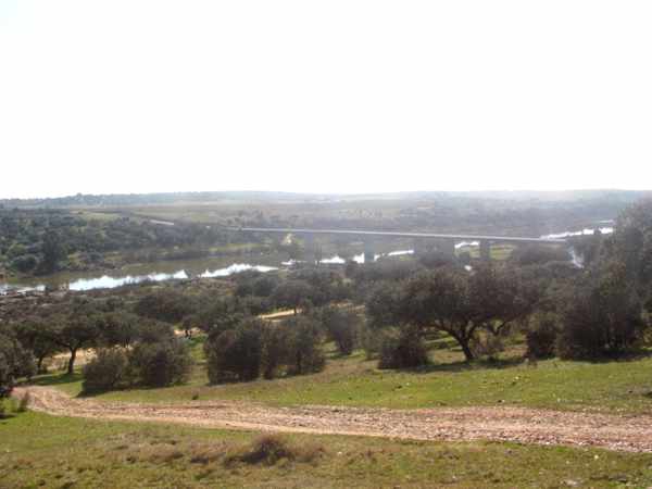 Ponte nova da Ajuda