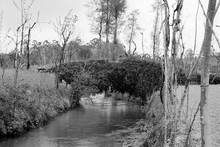 Ponte da Veiga em 1962