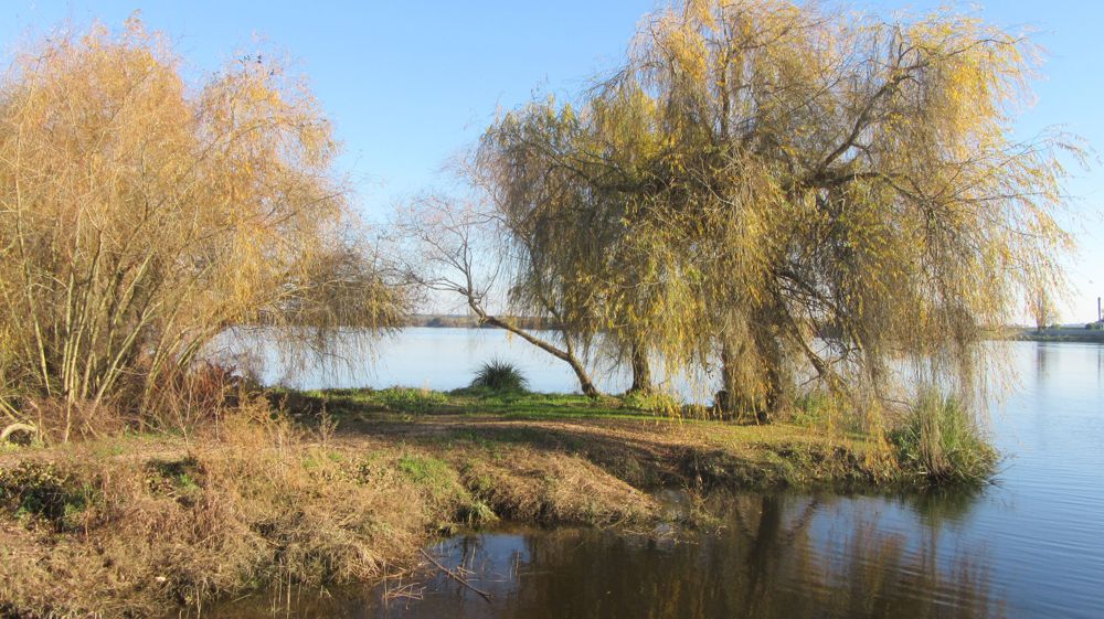 Rio Tejo