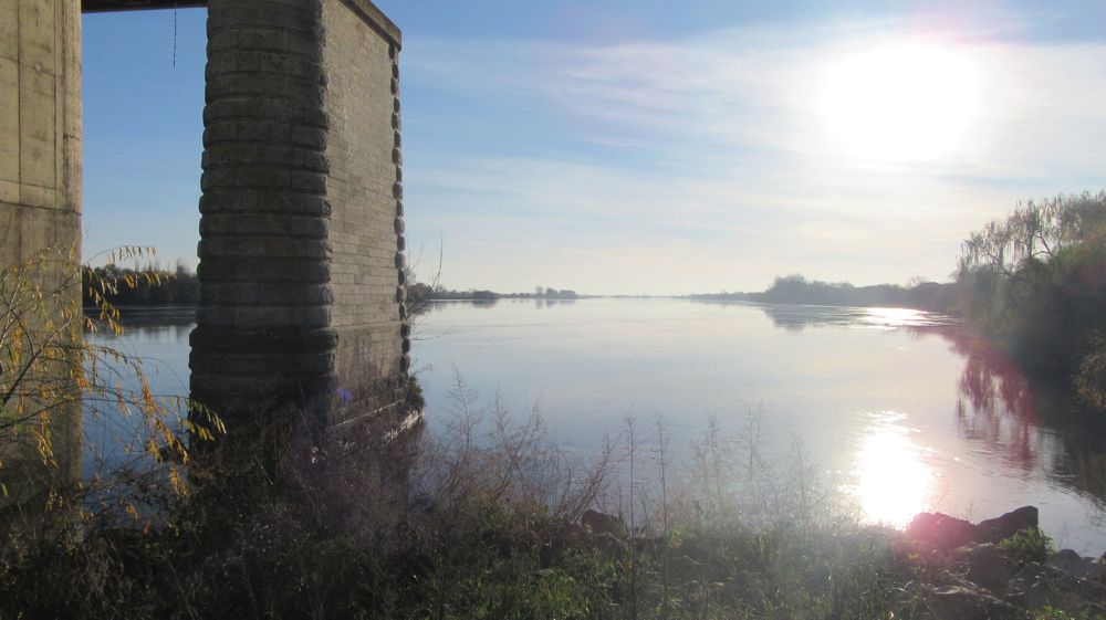 Rio Tejo