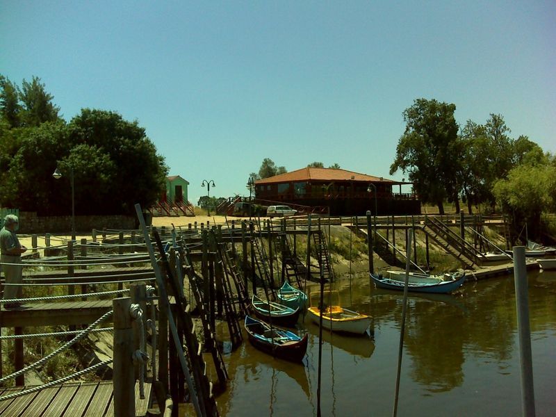 Aldeia Avieira e Rio Tejo