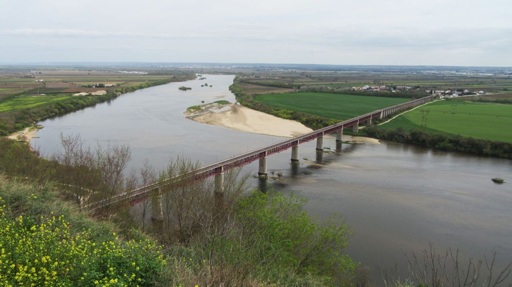 Ponte D. Luís I