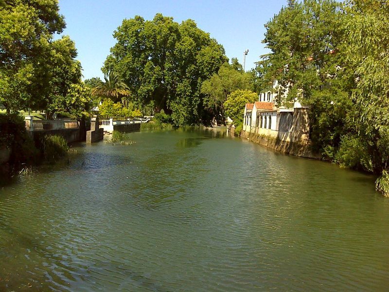 Rio Nabão