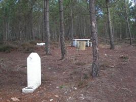 Parque de Merendas - Pedrosinhas