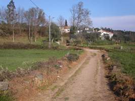 Uma rua em Pedrosinhas