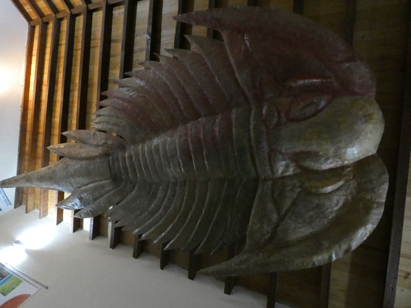 Museu das Trilobites Gigantes