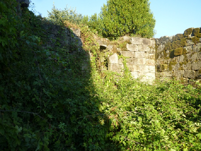 Ruinas da Torre e Honra dos Vasconcelos