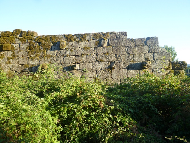 Ruinas da Torre e Honra dos Vasconcelos