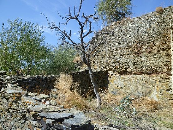 Pano da Muralha do Castelo