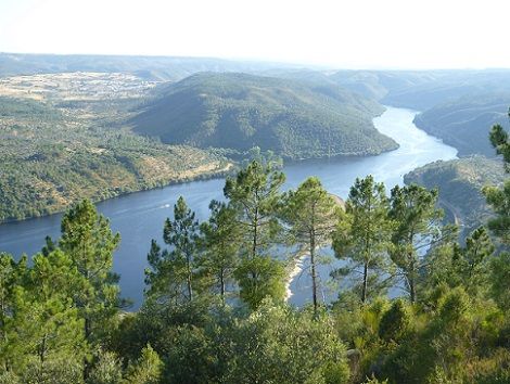 Vista do Tejo