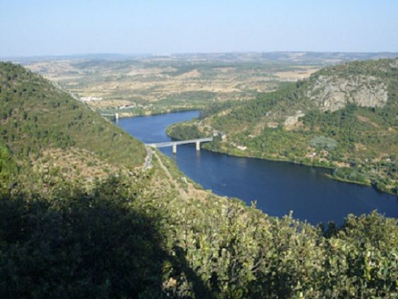 Vista do Tejo