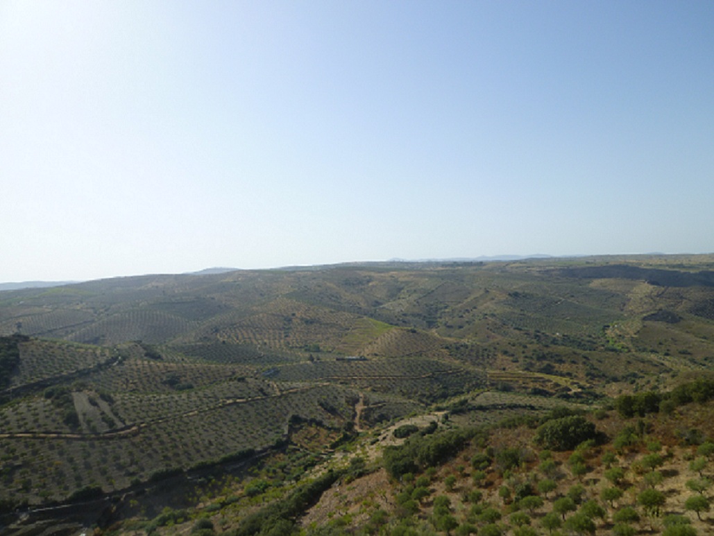 Vista do Castelo