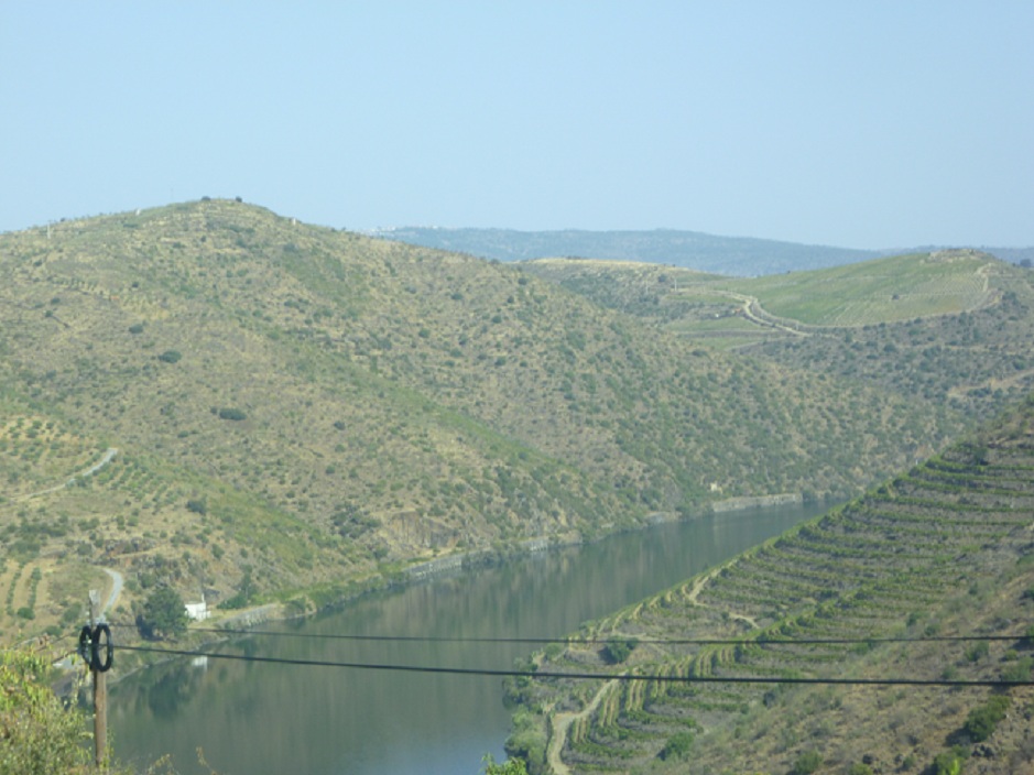 O rio Douro visto do castelo