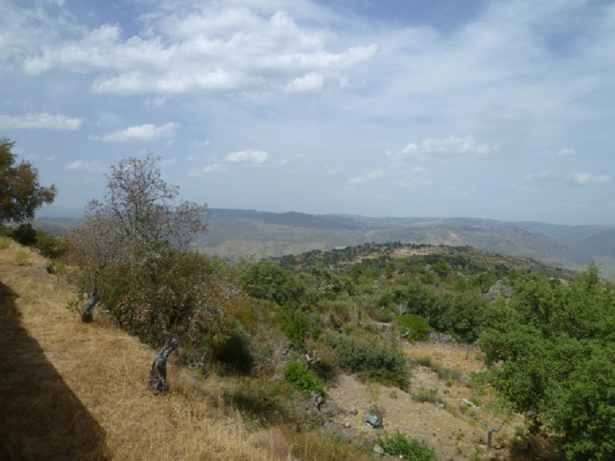 A Serra da Cabreira A Serra da Cabreira
