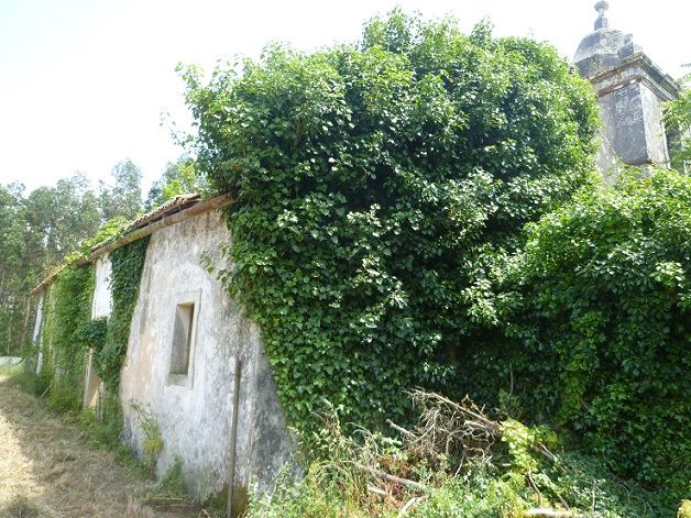 Antiga Igreja de Santo António