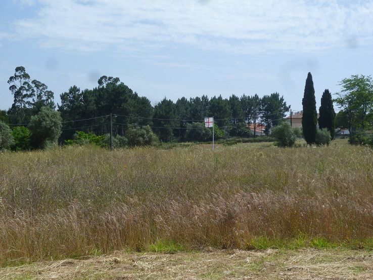 Campo Militar de S. Jorge